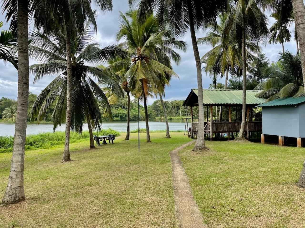 Udawalawa Safari Resort 达瓦拉维 外观 照片