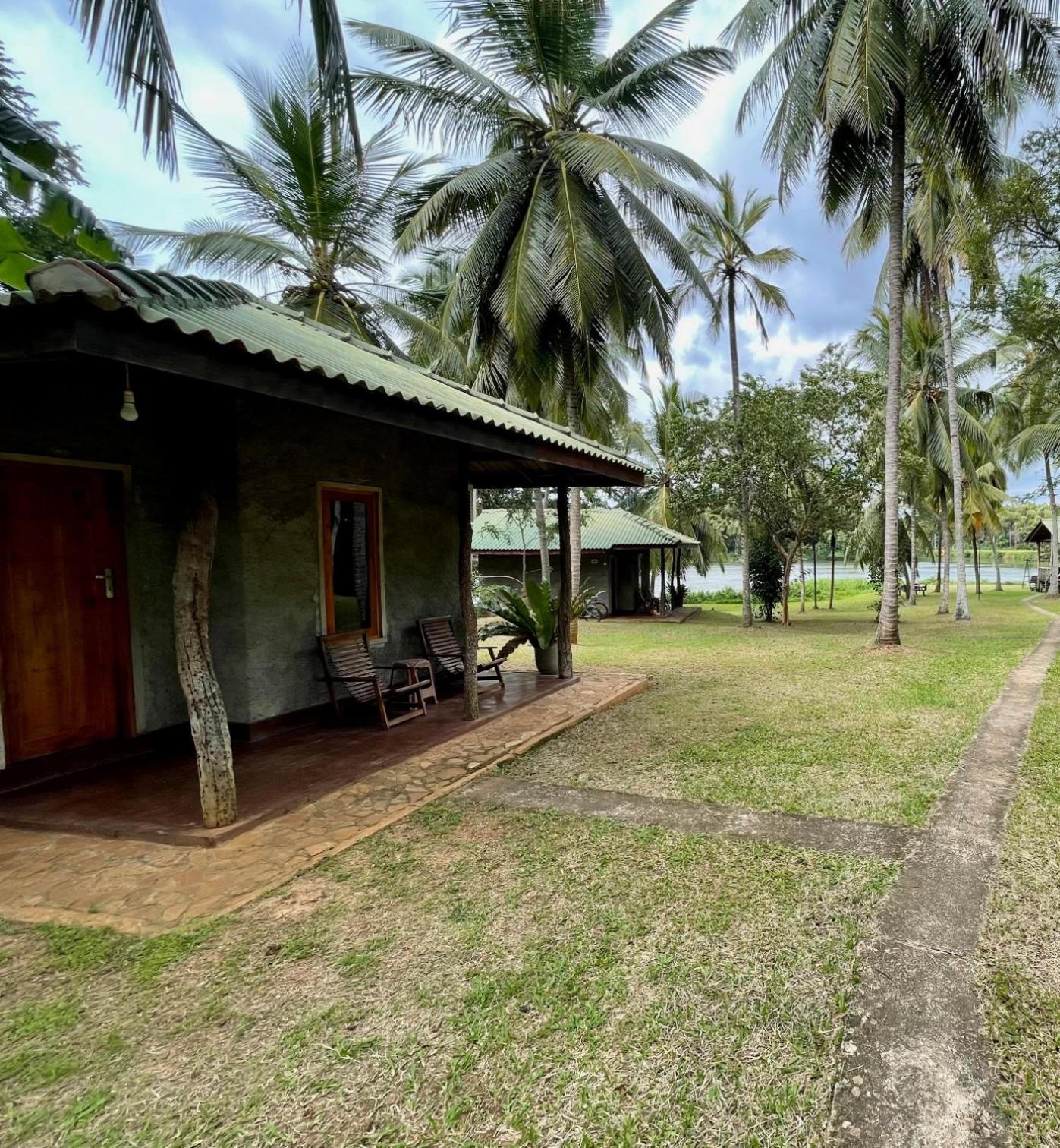 Udawalawa Safari Resort 达瓦拉维 客房 照片