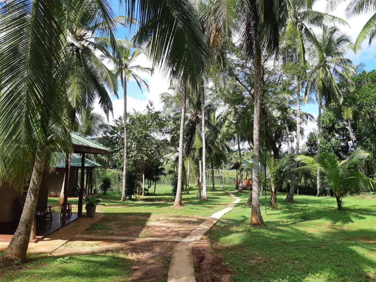 Udawalawa Safari Resort 达瓦拉维 外观 照片