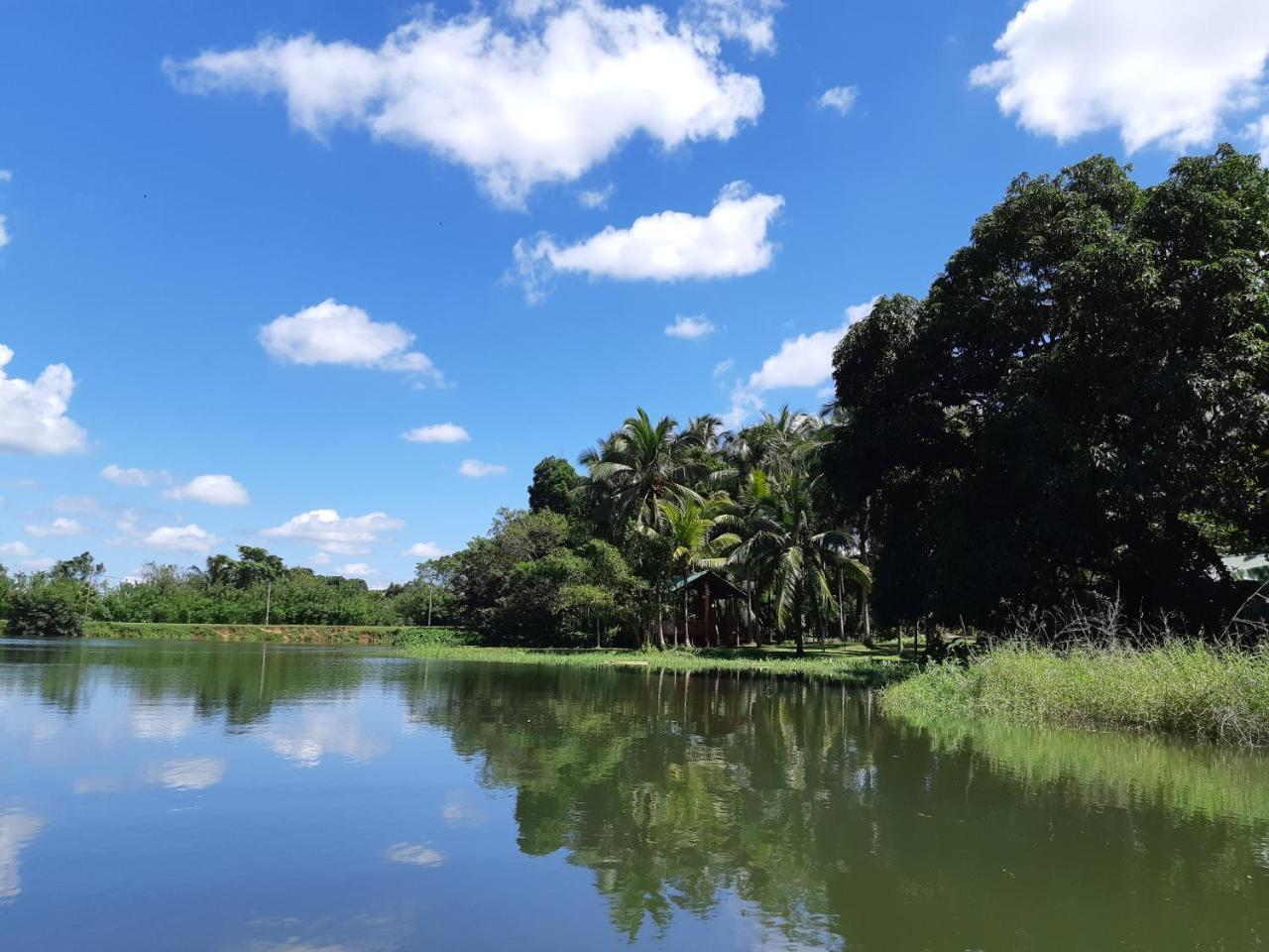 Udawalawa Safari Resort 达瓦拉维 外观 照片