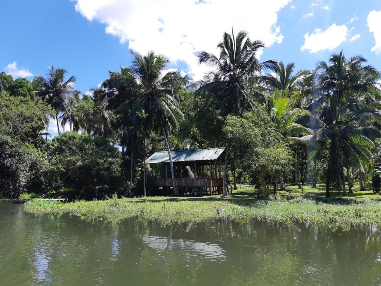 Udawalawa Safari Resort 达瓦拉维 外观 照片